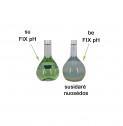 FIX pH 5,5 agrocheminiams tirpalams ruošti, 100 ml
